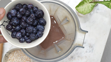 Blueberry Antioxidant and Immunity Boost Protein Smoothie
