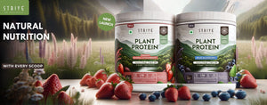 New Flavour collection
