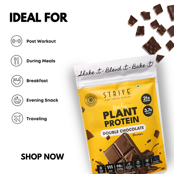 21g Protein Powder | Double Chocolate | 15X 31g Sachets (PRE- ORDER NOW)